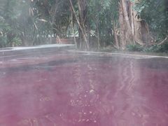 -仁爱团泊湖温泉中心