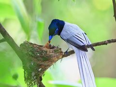 -桤木河湿地公园