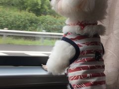 -佳雯宠物医院(四明中路分院)