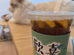 -有喵·猫咖·狗咖·30几只猫10只小狗(岗厦店)