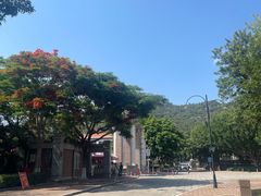 -厦门大学(思明校区)
