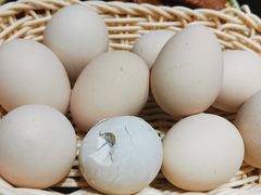 毛鸡蛋-鸽子窝(万丰路店)