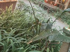 -二荆条·蜀鲜汇城市森林火锅