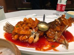 -蝶园·装修中(BFC外滩金融中心店)