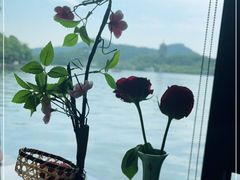 -柳莺湖上·湖景餐厅·江南菜(西湖店)