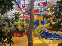 -南宫五洲植物乐园