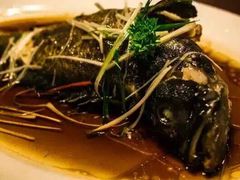 天伦王朝饭店盛华瑄餐厅-天伦王朝酒店·盛华瑄餐厅