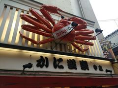 -蟹道乐(道顿堀本店)