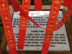 -庐山天沐温泉度假村