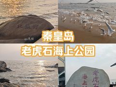 -老虎石海上公园