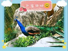 -临沂动植物园