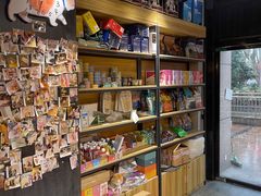 -欣宠猫屋·矮脚拿破仑·蓝金金渐层