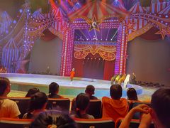 -珠海横琴长隆《卡卡虎奇遇记》