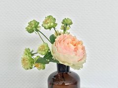 -边渡咖啡烘焙店(昙华林店)
