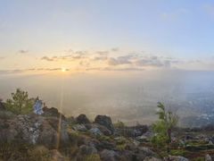 -长虫山生态公园风景林