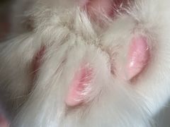 -猫腻·猫咖·撸猫馆(星光大道店)