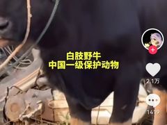 -约翰·菲茨杰拉德·肯尼迪国际机场