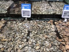 -盒马鲜生(红莲店)