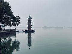 -无锡蠡湖国家湿地公园-蠡园