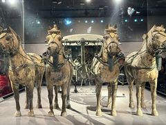 -秦始皇帝陵博物院(兵马俑)
