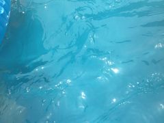 -杭州浪浪浪水公园