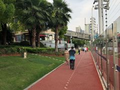 -北外滩滨江绿地