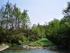 -桤木河湿地公园