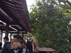 -西湖外事游船(花港观鱼码头)