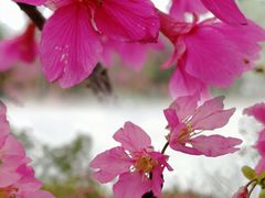 -映月湖公园