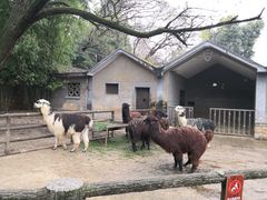 -昆明动物园