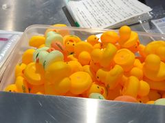 -LINLEE林里·手打柠檬茶(普陀新邻天地店)