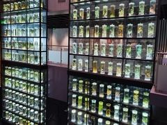 -广东中医药博物馆