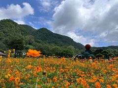 -关山草原