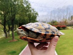 -四里河滨水生态公园