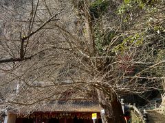 -大慈岩风景区