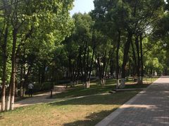 -重庆市江北嘴中央商务区中央公园