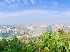 -杭州植物园