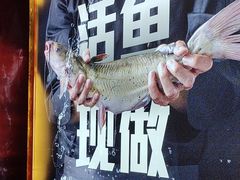 -老板恋上鱼(恒隆广场店)