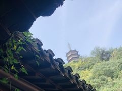 -焦山风景区