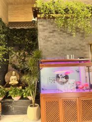 点击看大图 -至爱至信新中式SPA疗愈会所