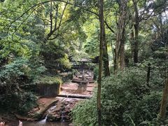 -峨眉山报国寺