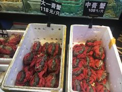-莲花公园煎蟹(总店)