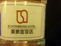 -美泉宫饭店