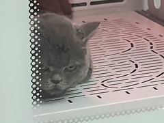 -FAELING PETS美天灵宠物(富力广场店)