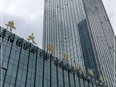 -合肥丰大国际大酒店