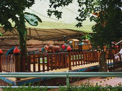 -金城公园