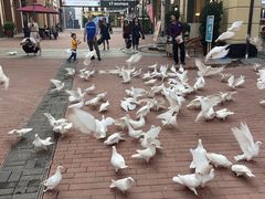 -王府井奥莱临潼小镇(临潼店)