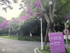 -成都保利公园皇冠假日酒店(熊猫基地店)