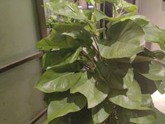 -毛家饭店·30年融合新湘菜(汉峪金谷店)