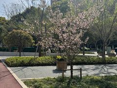 -BISTROFIORE美伊娜(伊犁南路店)